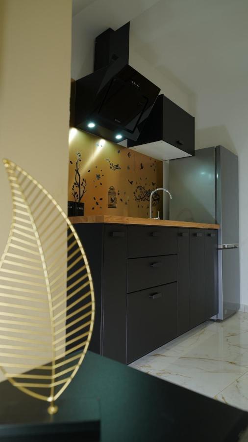 Diamond Apartment Piran Dış mekan fotoğraf